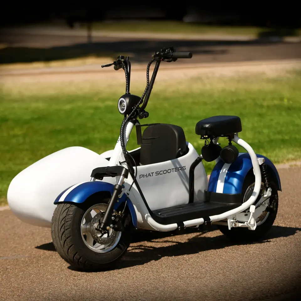 Electric moped outlet with sidecar