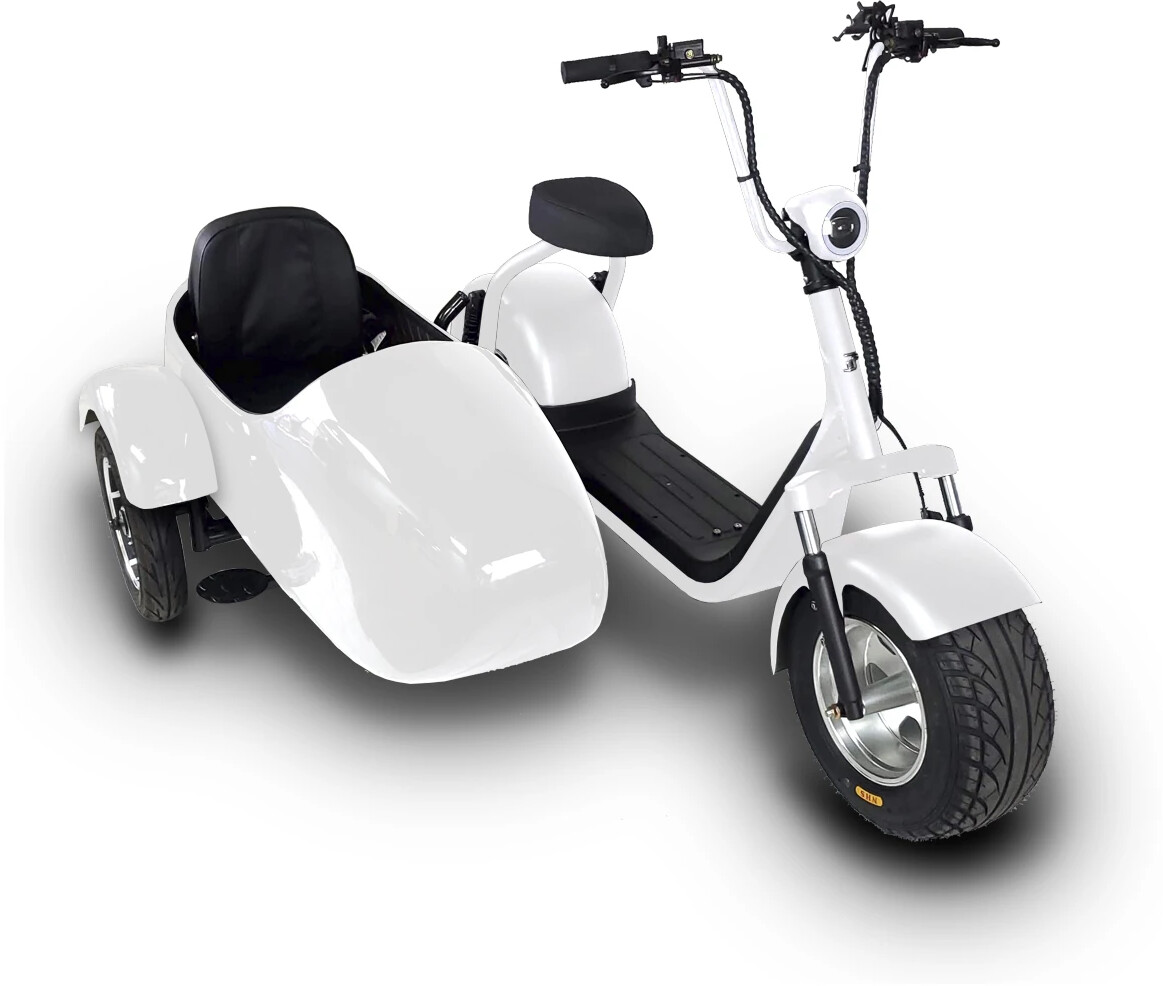 Scooter on sale with sidecar