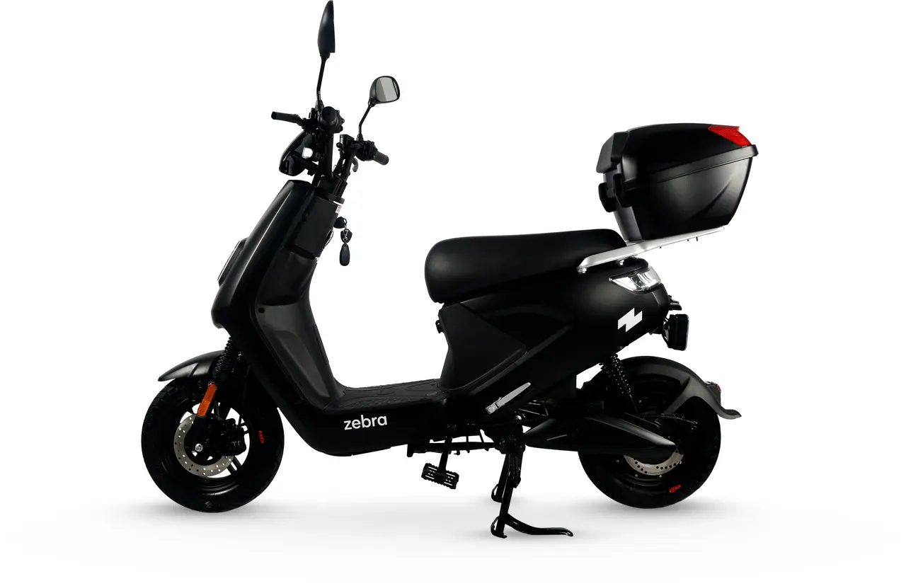 Zebra scooter on sale